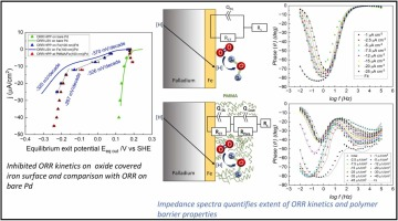 印度研究人员开发新型电化学技术 可测量聚合物涂层下面的金属腐蚀速率