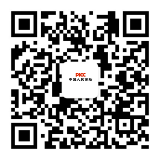 车险理赔流程解析：高效理赔的关键步骤